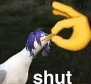 DrRatio_shut