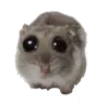 hamjacry