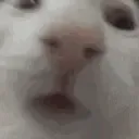 NoFuckingWay
