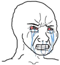 :wojak:
