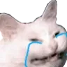 CattoCry