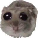 Sadhamster SadHamster Discord Emoji