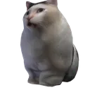 HUH