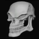 Skull
