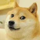 much_doge_very_wow Discord Emoji