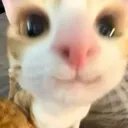 im_mewing