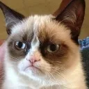 grumpy_cat1 Discord Emoji