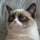 grumpy_cat2 Discord Emoji
