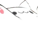 SDSMongoPraise