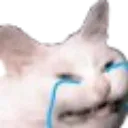 cat_cri