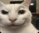 smirkcat