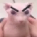 BingusAngy