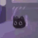 Pachipachi