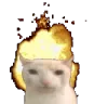 catexplode