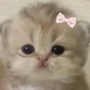 cute