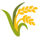 crop