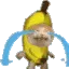 bananacat_cry