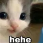 hehe