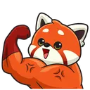 RedPandaMuscle