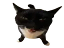 whar