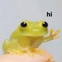 frog_hi frog_hi
