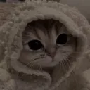 zzz_kitt zzz_kitt