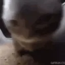 going_insane