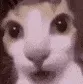 carstare