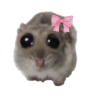 h_hampterpls Discord emoji