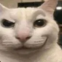 TEA_cat_huh