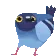 Birb_Ani1