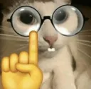nerdcat