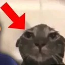 Wowowow wowowow Discord Emoji