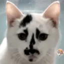 john
