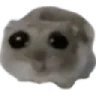 sadhamster