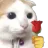 catrose3