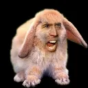 banch00t banch00t