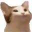 PauseCat