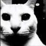 UncannyCat