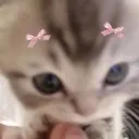 catto