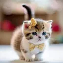 Kitty3 Discord Emoji