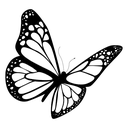 c_blackbutterfly