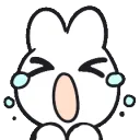 cry