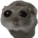 sad_ham
