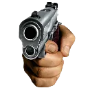 Gun