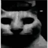 tf