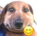 Vrz