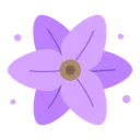 lavanda