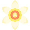 narciso