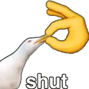 shut